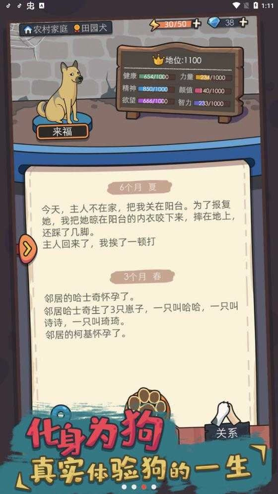 狗生模拟器修改器免费版图3