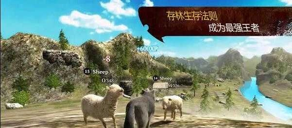 狼模拟求生(1)