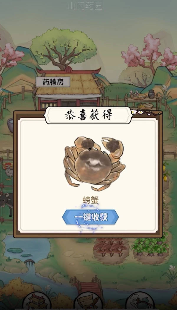 中药小郎中游戏图3