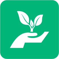 芝麻粒模块 