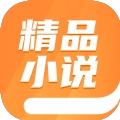 精品小说全本推荐