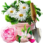 佛罗里达虚拟花园（FLORIA）