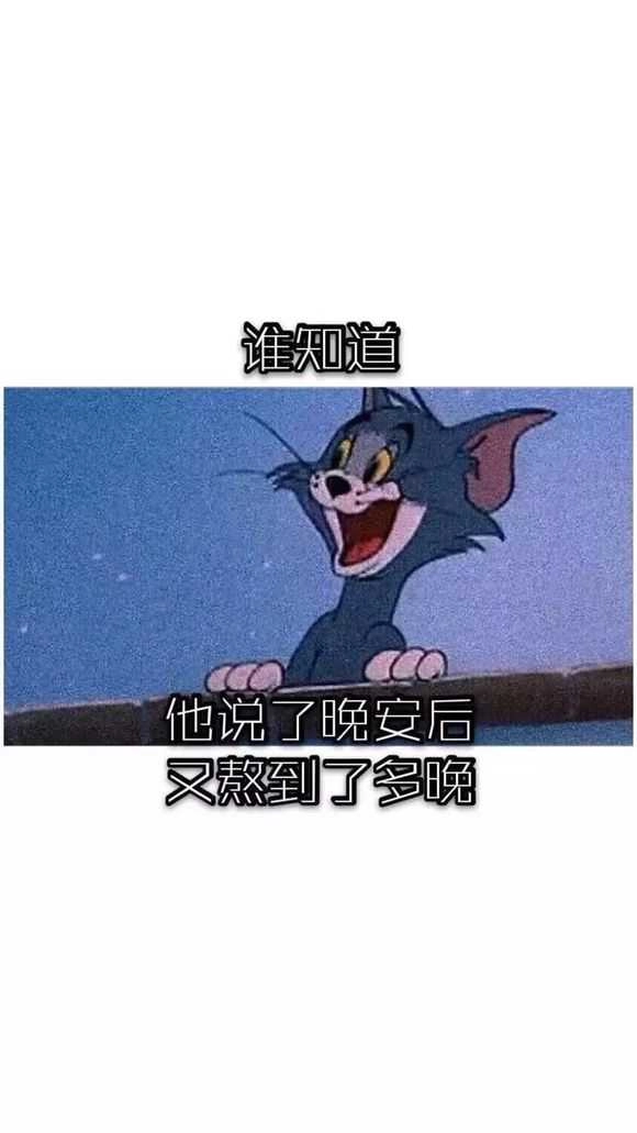 抖音猫和老鼠壁纸 (1)