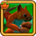 松鼠模拟器