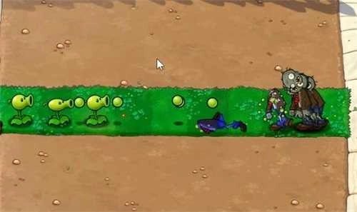 植物大战僵尸XT版截图1