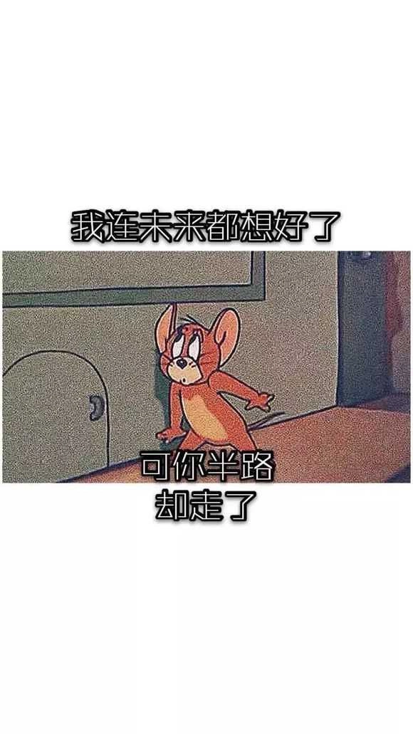抖音猫和老鼠壁纸 (2)