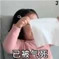 已被气死表情包 