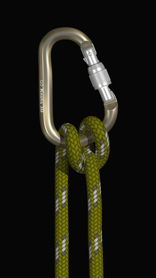 3D绳结之王Knots 3D(3)