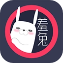 羞兔动态壁纸免费 