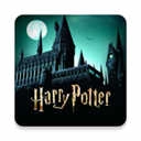 哈利波特霍格沃茨之谜 