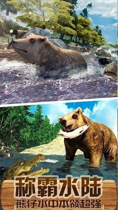 熊仔大乐园截图4