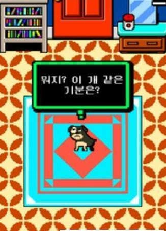 我又变成狗了图3