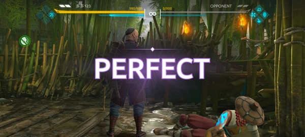 暗影格斗4正版-图4