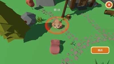 格斗小动物1
