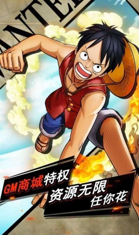海贼王格斗图1
