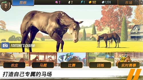 家族传奇马匹养成竞技安卓版图3
