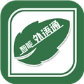 外语通教师版