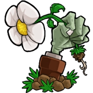 植物大战僵尸联机版
