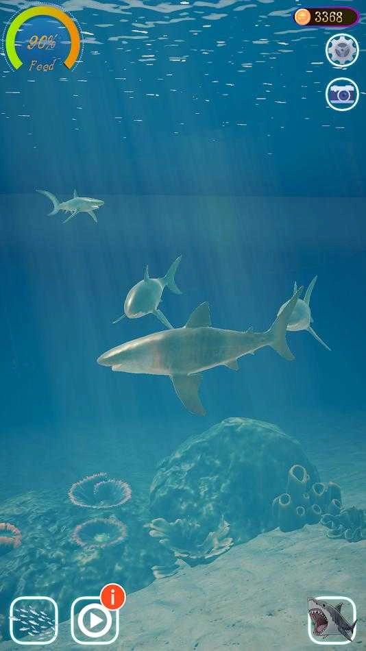鲨鱼海洋（Shark）图1