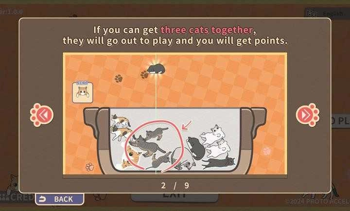 猫三重奏图4