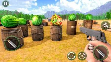 西瓜射手(Watermelon Shooter)图3