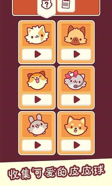 我是猫老大截图2