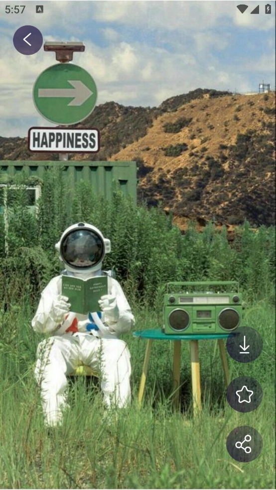 鲜柚壁纸安卓版图1