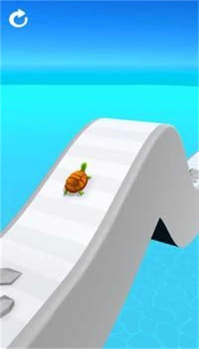 海龟赛跑3D(Turtle Race 3D)图1