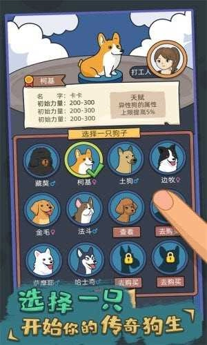 你好狗好喜欢图1