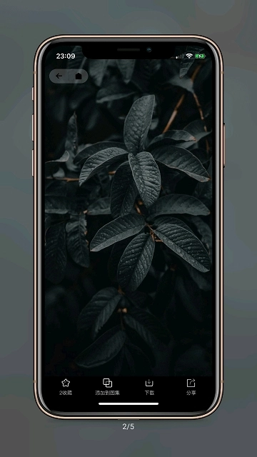 纸塘壁纸手机版图1