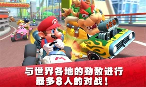 马里奥赛车巡回赛国际服（Mario Kart）图3