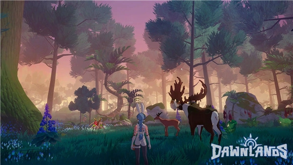 新黎明Dawnlands(3)