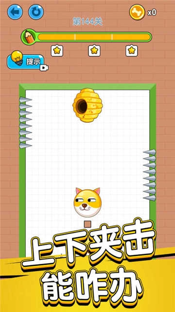 狗狗肿么了图1