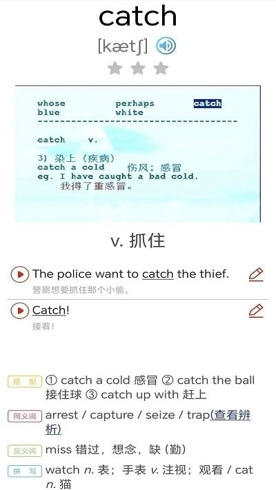 大猫新概念英语同步课堂 