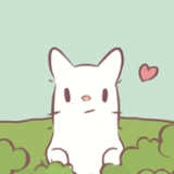 汤猫(Cats&Soup)