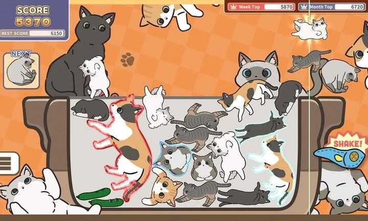 猫三重奏图1