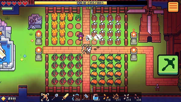 浮岛物语联机版图4