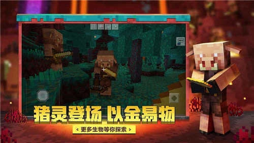 我的世界决战斗罗双生武魂图2