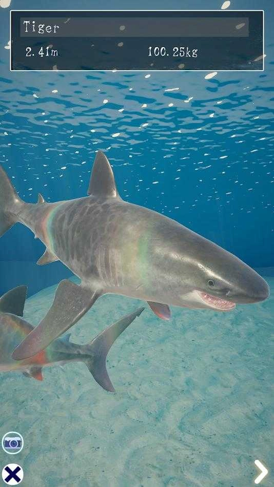 鲨鱼海洋（Shark）图2