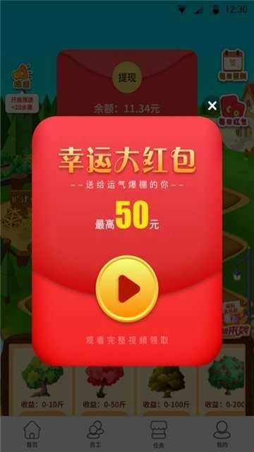 开心小果园图3