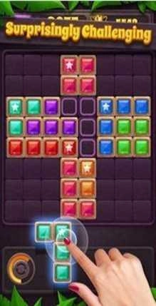积木拼图星星宝石(Block Puzzle)图2