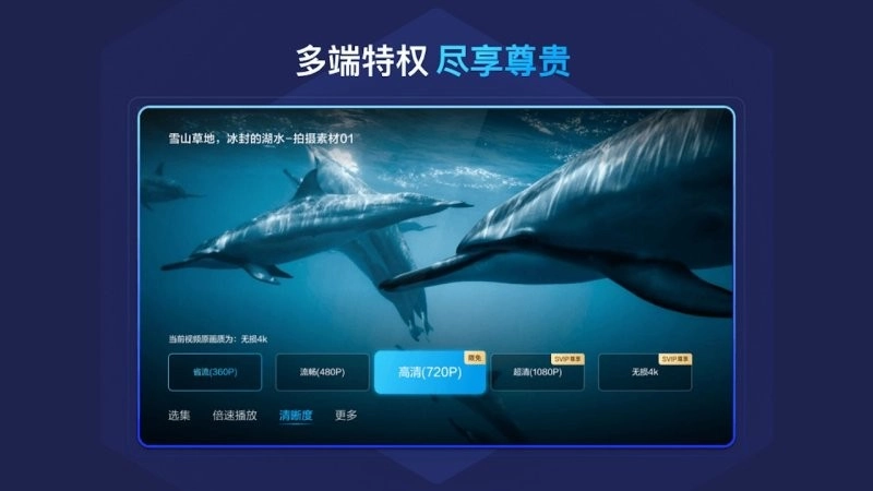百度网盘车机版(2)