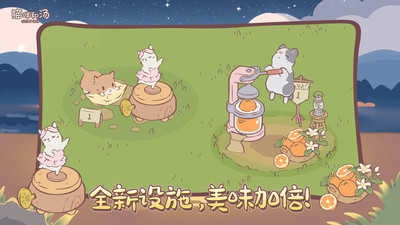 猫咪和汤 
