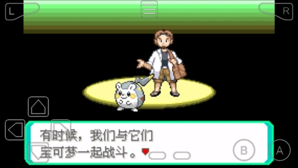 精灵宝可梦究极绿宝石图1