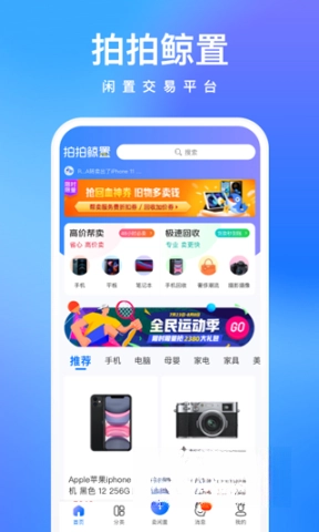 拍拍鲸置图1