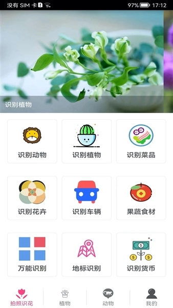 拍照识花神器-图5