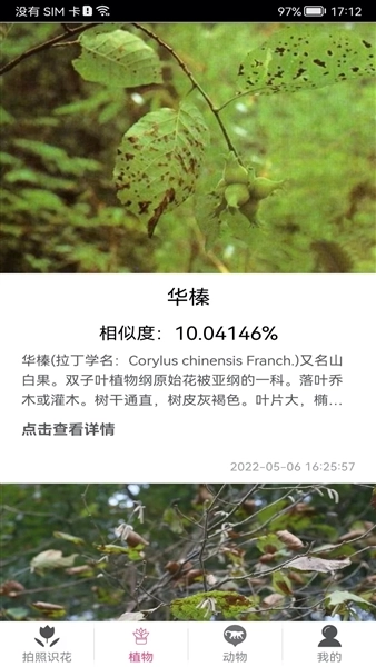拍照识花神器-图4