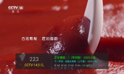 雨露TV 9
