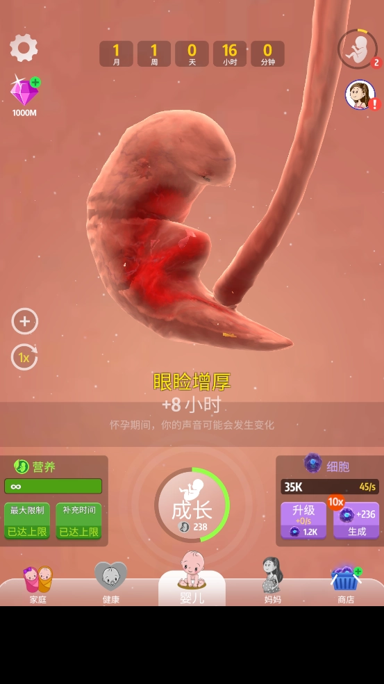 人类进化史游戏 