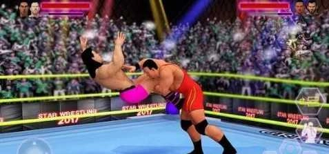 WWE团体世界冠军赛(Tag Team Stars)图4